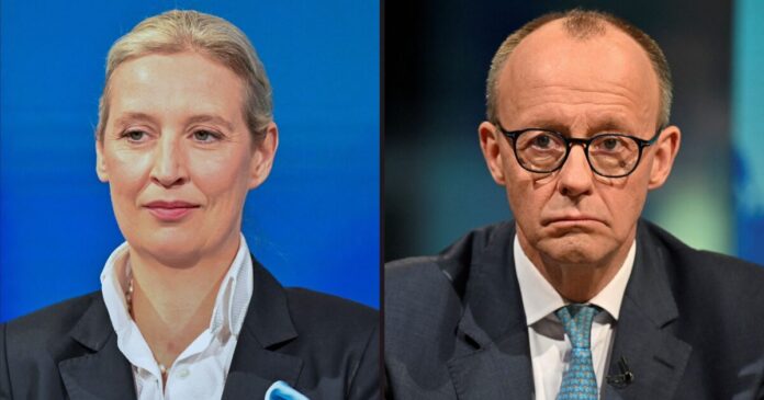 Weidel Merz 1200x630.jpg