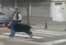 agriogourouno batman x 1200x630.jpg