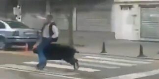 agriogourouno batman x 1200x630.jpg