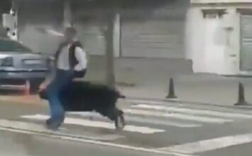 agriogourouno batman x 1200x630.jpg