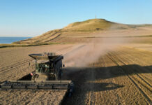 agrotes reuters 1200x630.jpg