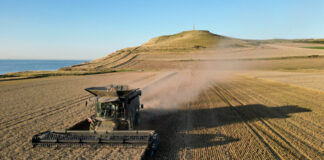 agrotes reuters 1200x630.jpg