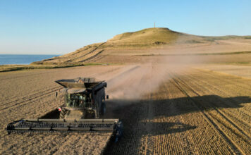 agrotes reuters 1200x630.jpg