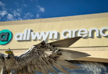 allwyn 1200x630.jpg