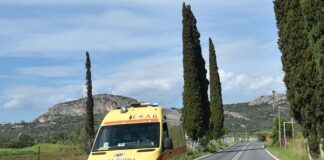 asthenoforo 1 1 1200x630.jpg