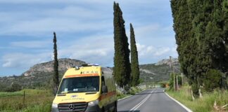 asthenoforo 3 1 1200x630.jpg