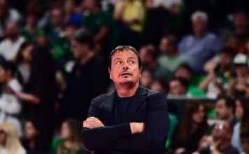 ataman 11 1200x630.jpg