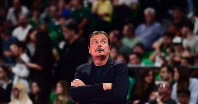 ataman 11 1200x630.jpg