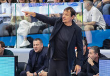 ataman 12 1200x630.jpg