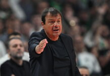 ataman 13 1200x630.jpg