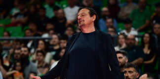 ataman 14 1200x630.jpg