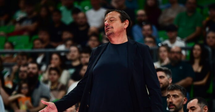 ataman 14 1200x630.jpg
