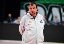 ataman 4 1200x630.jpg