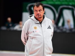 ataman 4 1200x630.jpg