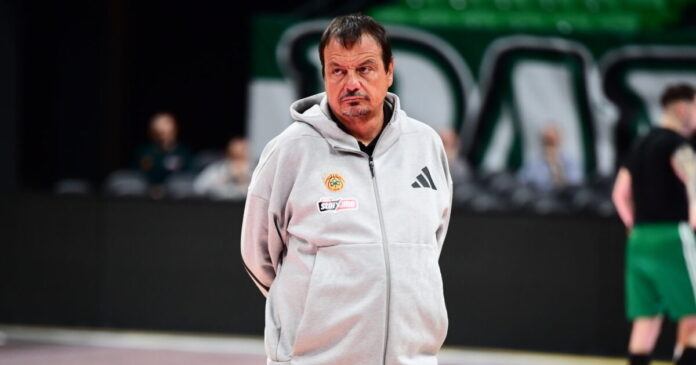 ataman 4 1200x630.jpg