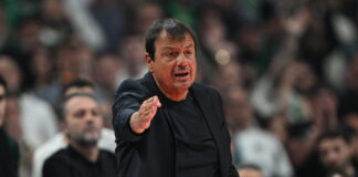 ataman 6 1200x630.jpg