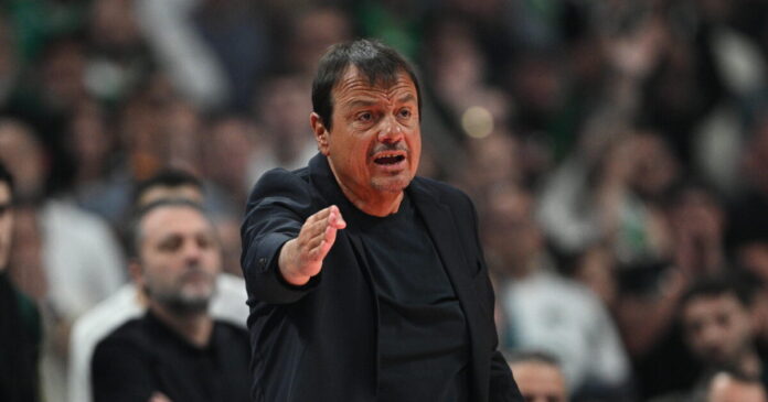 ataman 6 1200x630.jpg