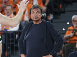 ataman 8 1200x630.jpg