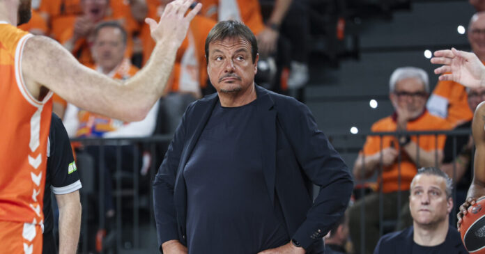 ataman 8 1200x630.jpg