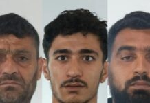 attiki elas apates 1200x630.jpg