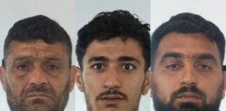 attiki elas apates 1200x630.jpg