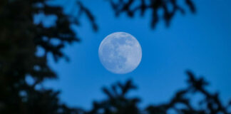 blue moon.jpg