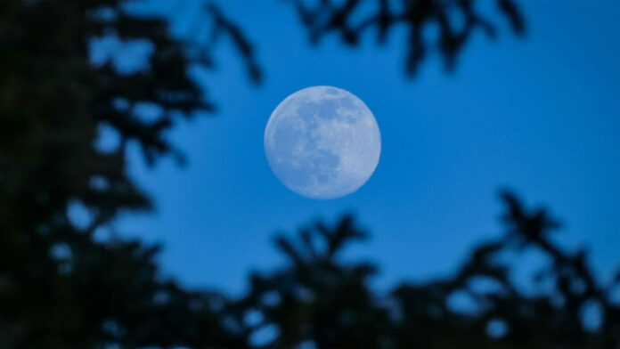 blue moon.jpg