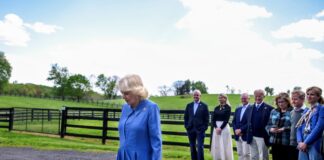 camilla 1200x630.jpg