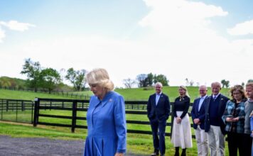camilla 1200x630.jpg