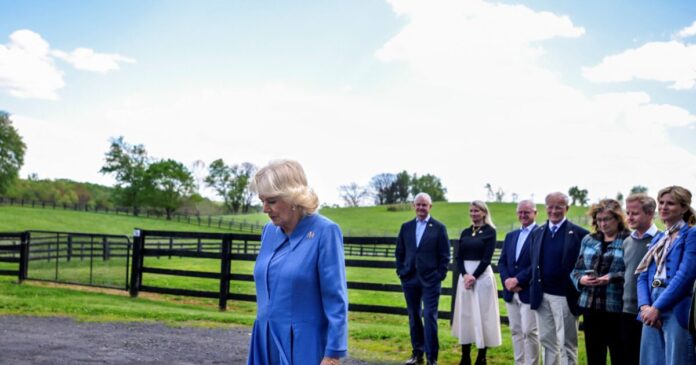 camilla 1200x630.jpg