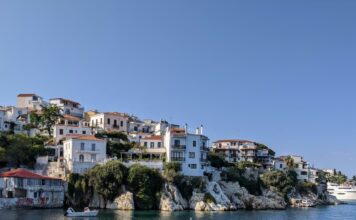 dimos 1 3.jpg