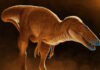 dinosaur 11062025 1200x630.jpg