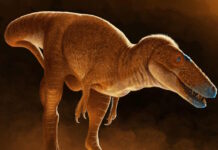 dinosaur 11062025 1200x630.jpg
