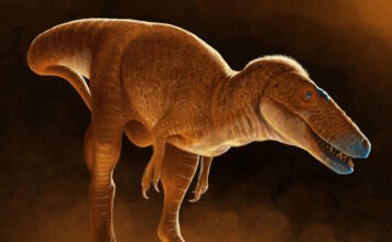 dinosaur 11062025 1200x630.jpg