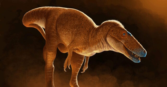 dinosaur 11062025 1200x630.jpg