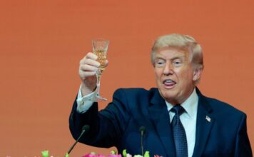 donald 1200x630.jpg