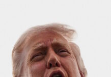 donald trump 03052026 1200x630.jpg