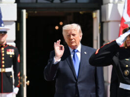 donald trump r 1200x630.jpg