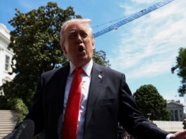 donald trump88 1200x630.jpg