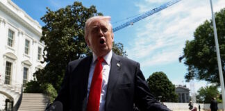 donald trump88 1200x630.jpg