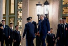 donalt trump 1200x630.jpg