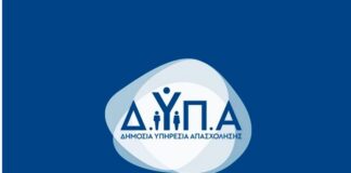 dypa 1 8.jpg