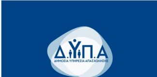 dypa 2 2.jpg