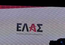 elas12 1200x630.jpg