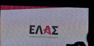 elas12 1200x630.jpg