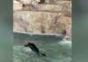 fontana nti trevi 1200x630.jpg