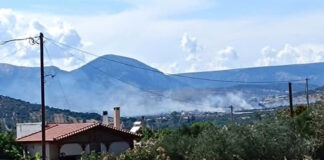 fotia kalybia 1200x630.jpg