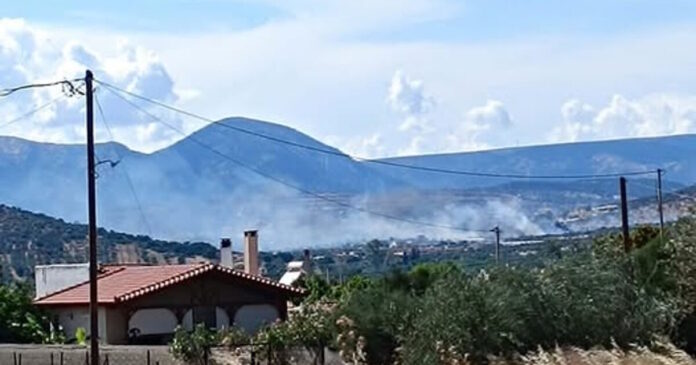 fotia kalybia 1200x630.jpg