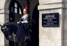 Βρετανία: Άλογο της Βασιλικής Φρουράς δυσφορεί λόγω του ακραίου καύσωνα μπροστά σε τουρίστες guard horse britain 1200x630.jpg