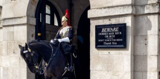 guard horse britain 1200x630.jpg